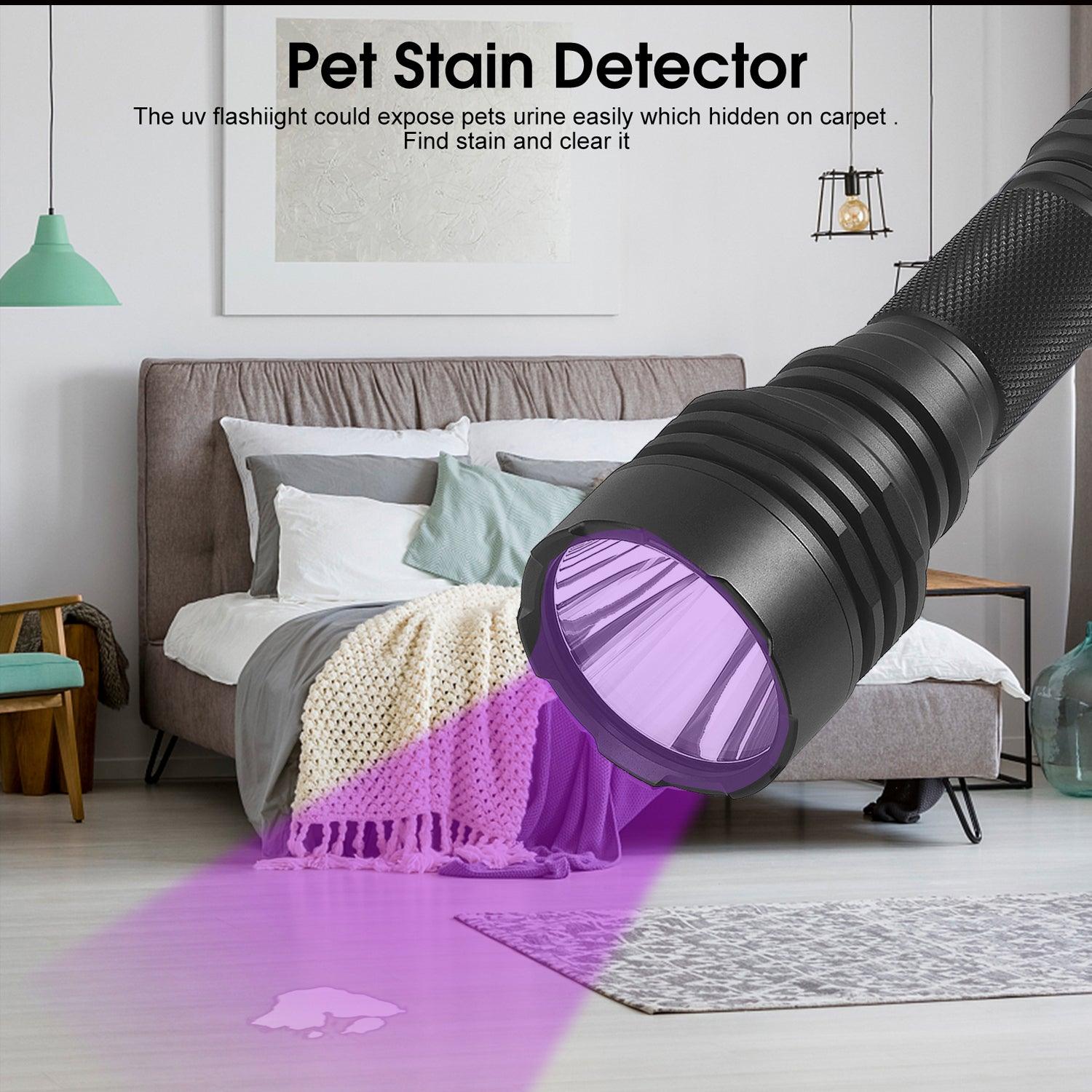 UV pet stain detector flashlight revealing pet urine on bedroom carpet