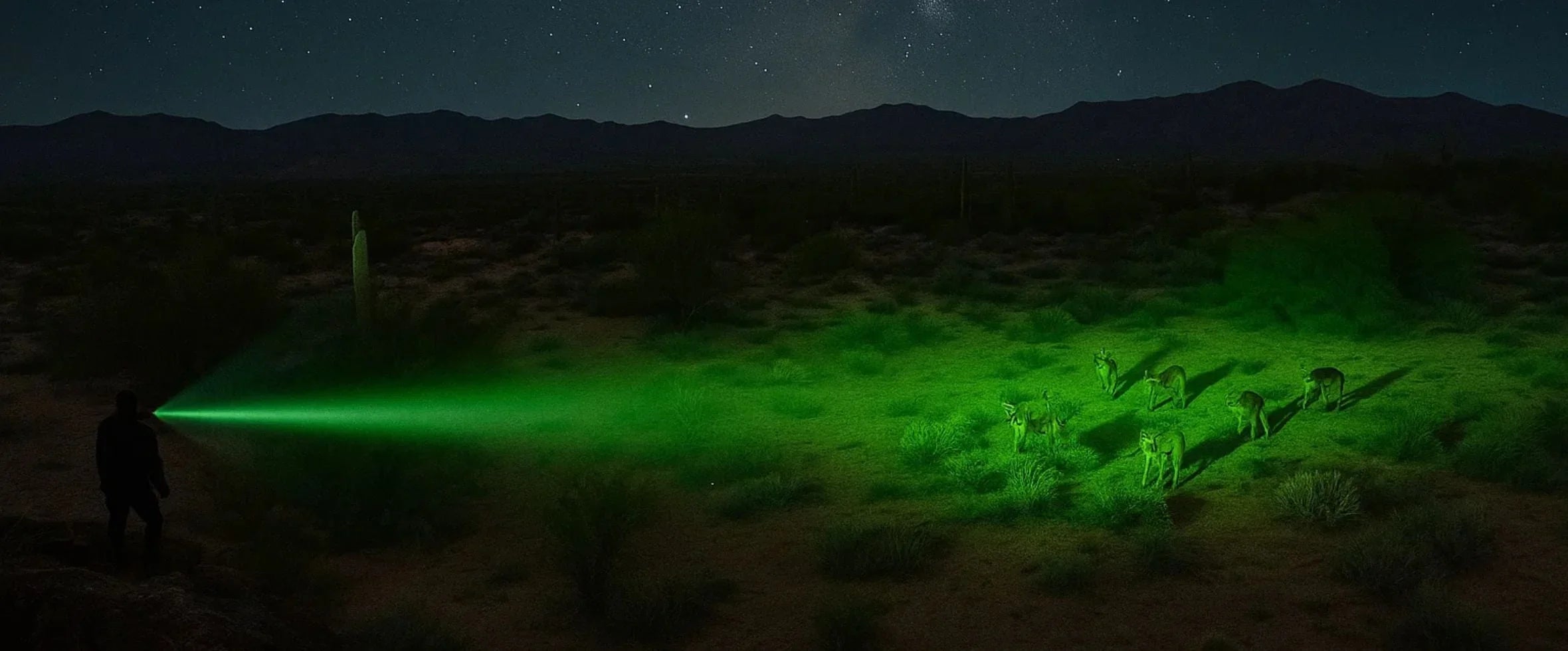 Person using green hunting flashlight to spot animals at night in desert landscape