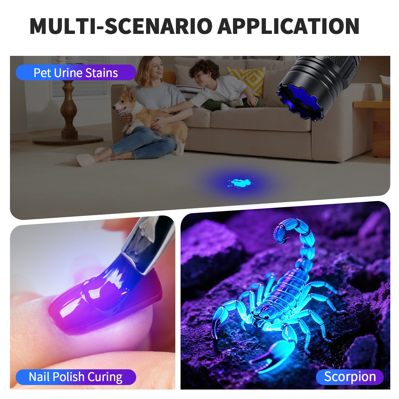 S1 365nm Professional UV Flashlight