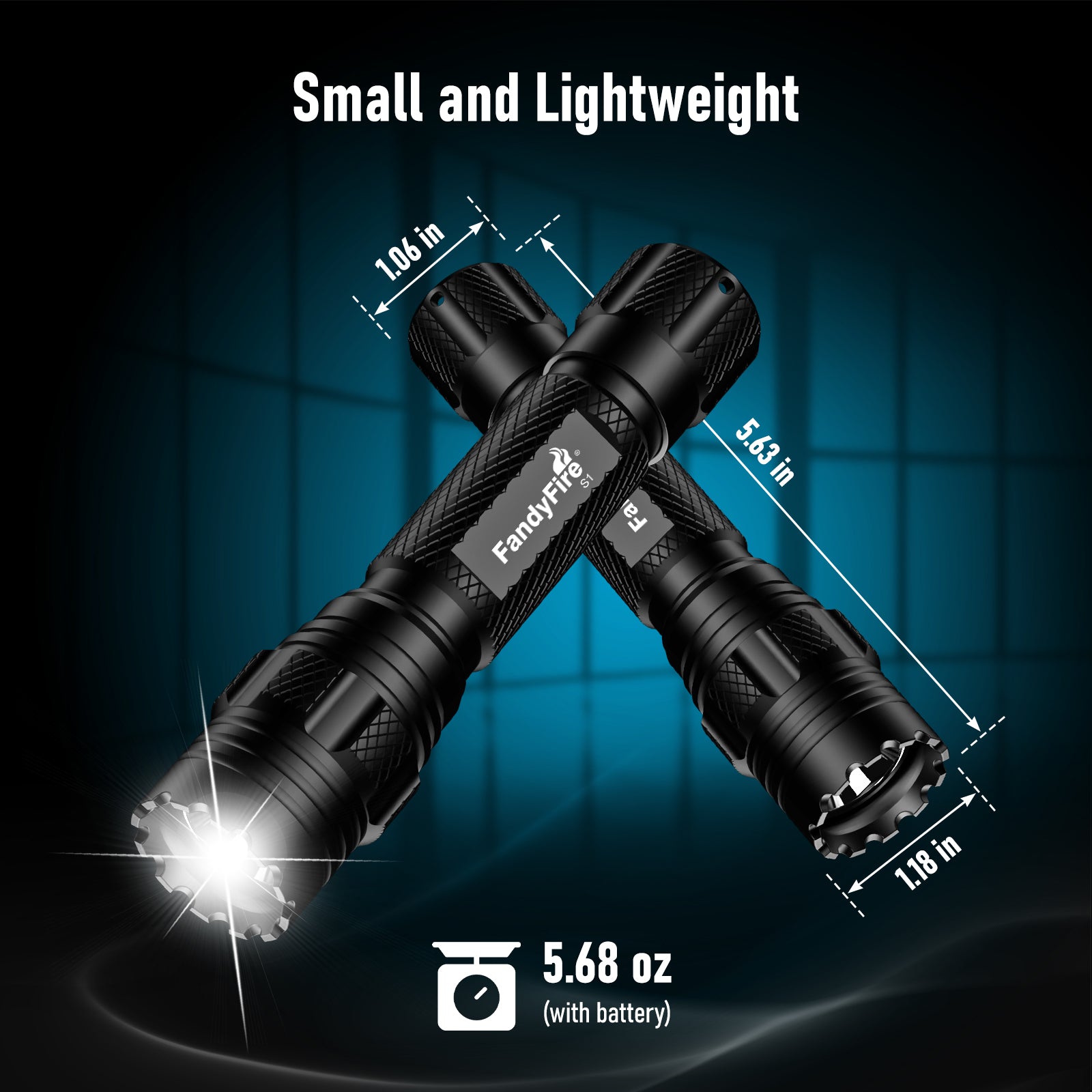 S1 Tactical Flashlight & Holster