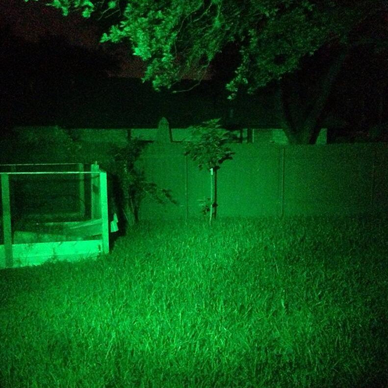 Night vision view of a backyard with grass, tree, fence, and garden bed